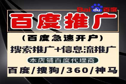 行业领先企业的SEM广告策略与效果分析
